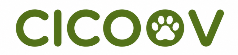Cicoov Logo